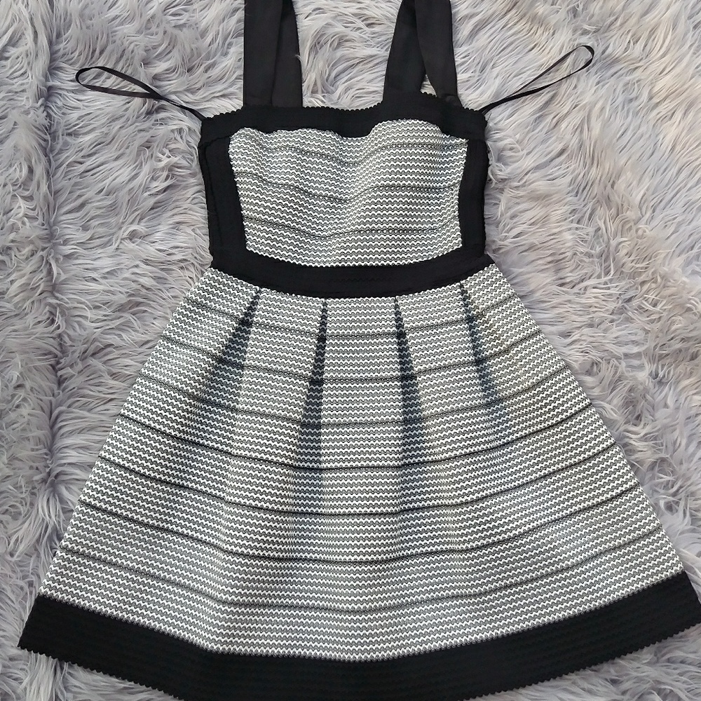 Francesca's Dress
